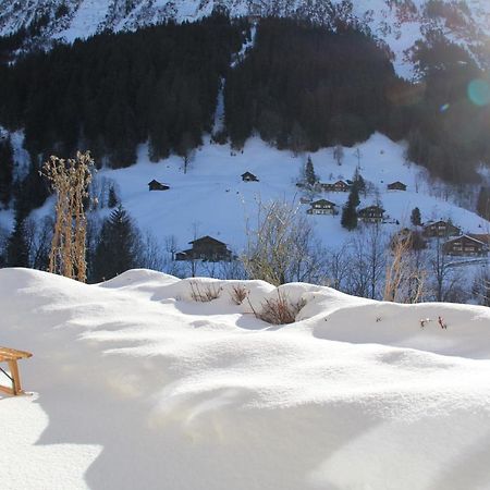 Chalet Pfingsteggblick Гриндельвальд Экстерьер фото