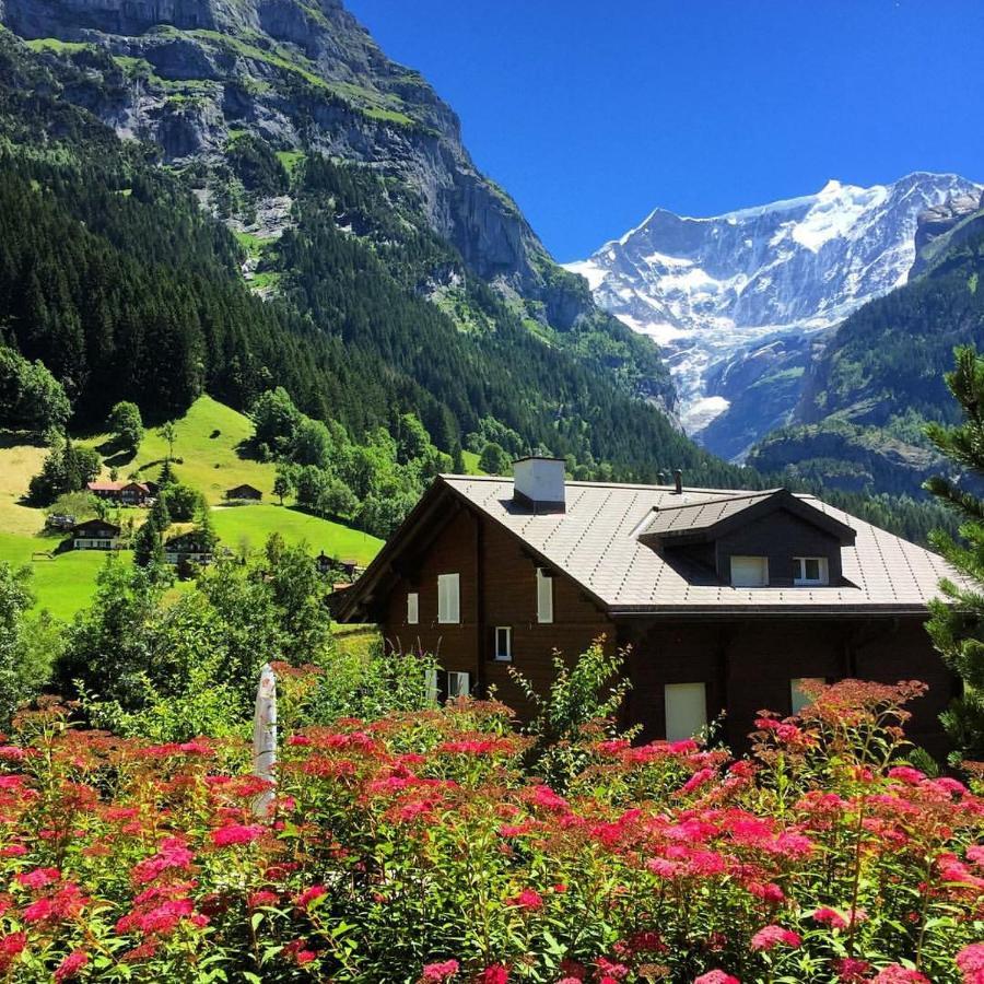 Chalet Pfingsteggblick Гриндельвальд Экстерьер фото