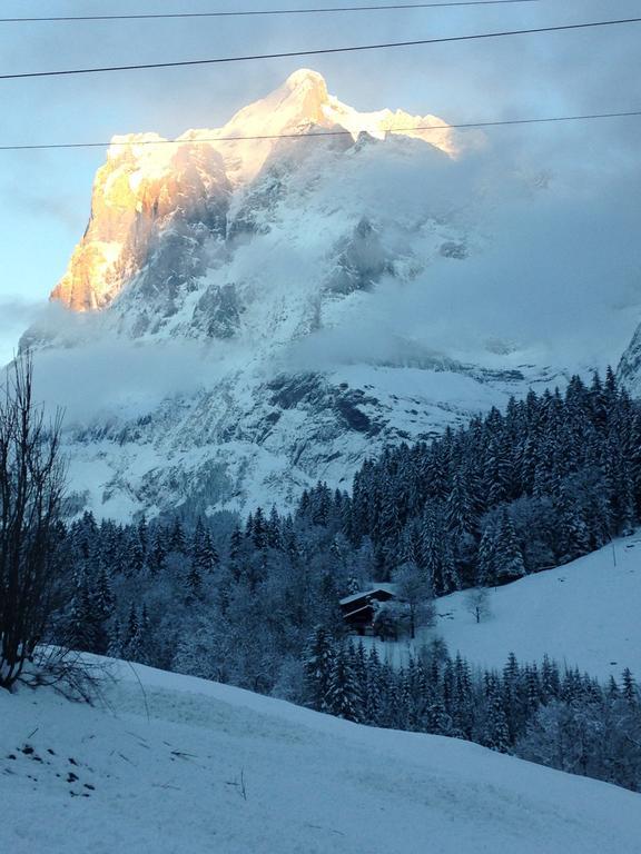 Chalet Pfingsteggblick Гриндельвальд Экстерьер фото
